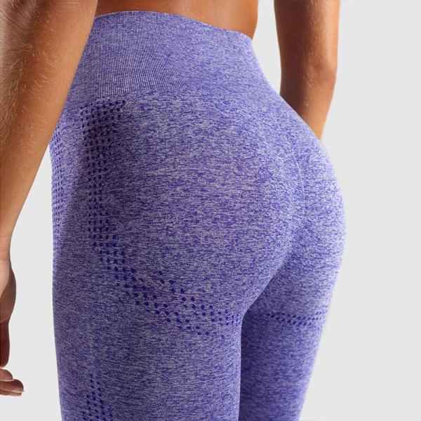 Breathable Gym Yoga Pants High Waisted Seamless Gym Leggings For Women Fitness / Running