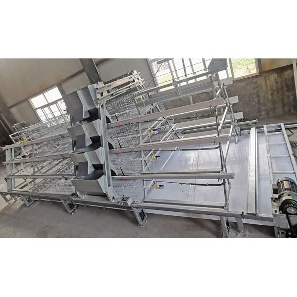 Гальванизированные горячие связывают проволокой утверждение SGS птиц/набора клетки 240 цыпленока младенца 4 слоев