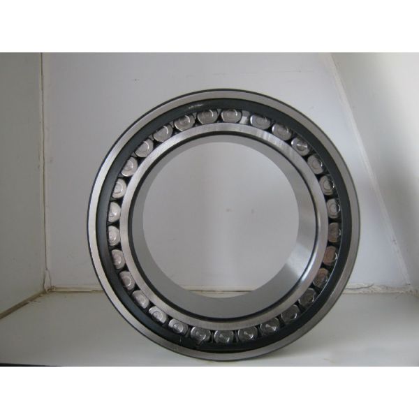 Double Cylindrical Roller Bearing SL-19 2318 Germany Brand NNF Without Cage