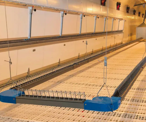 Galvanized Steel Adjustable Height Corrosion Resistant Poultry Feeding System for Broilers