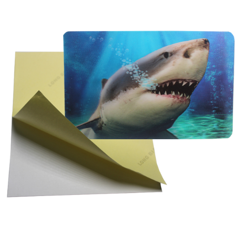 PLASTIC LENTICULAR Custom PP PET 3D Lenticular Sticker printing manufacturer
