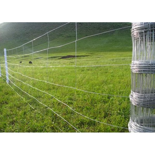 Hot Dipped Galvanized Field Fence , Hinge Joint Wire Fencing Bright Color