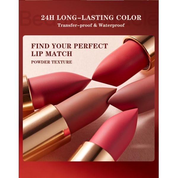Transfer Proof Lipstick 24H Long Lasting Waterproof Matte Lipstick Makeup Cosmetics