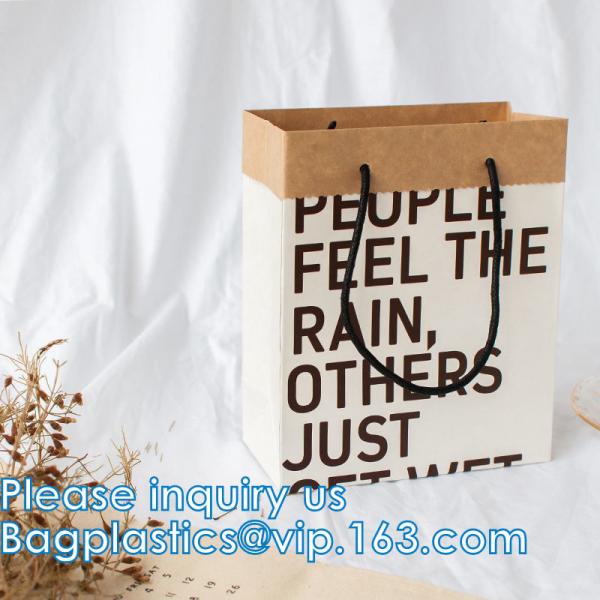Retail Bag with Rope Handle, Metallizing, Business Bags, Craft Bags, Party Bags, Recyclable Bags