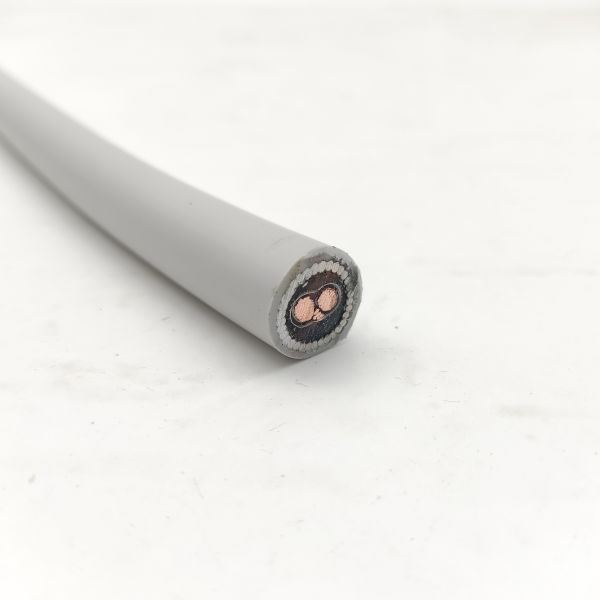 Multi Cores Instrumentation Cable Fire Resistant Cable CU/MGT/XLPE/OS/FR/LSZH/GSWA/LSZH 2х2,5