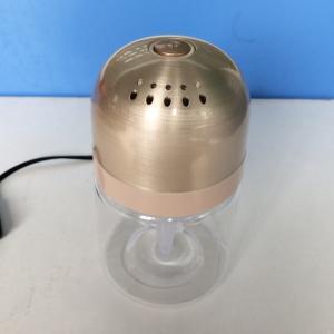 Car Air Freshener Diffuser