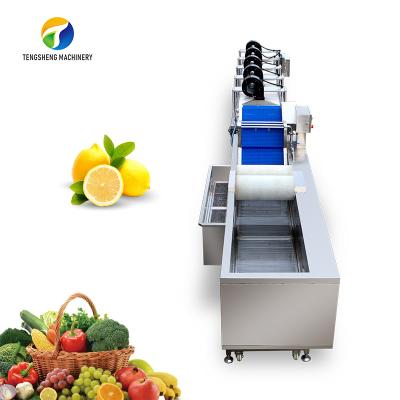 O inseticida conduzido personalizado exclui a linha de processamento vegetal, centrifugando a linha de processamento do tomate