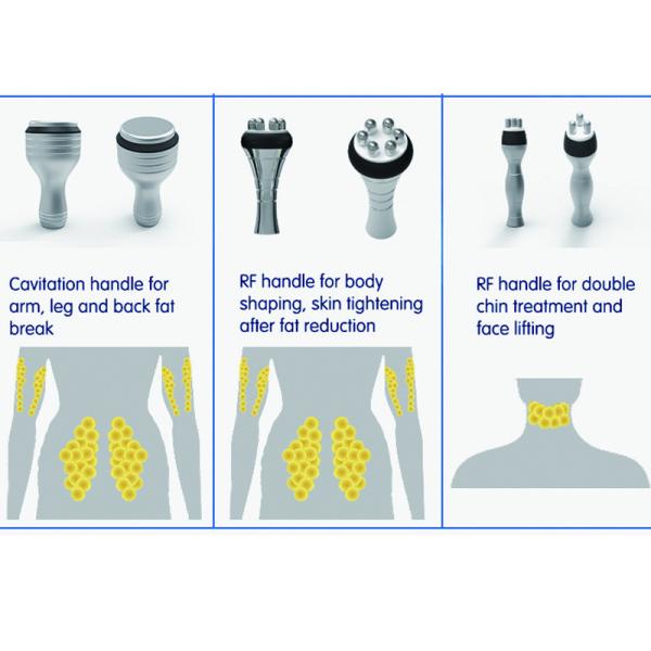 CE / FDA approved safety 5 cryo handle fat freezing cryolipolysis weight loss slimmming beauty mcahine
