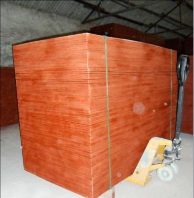 Formwork  pannel with WBP, MR, Melamine glue, concrete fornwork plywood