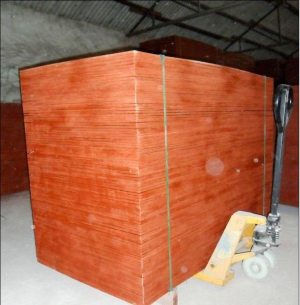 Formwork  pannel with WBP, MR, Melamine glue, concrete fornwork plywood