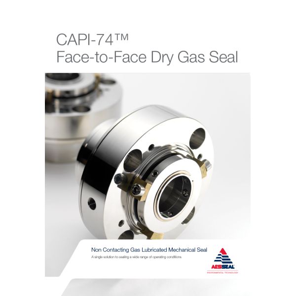 AESSEAL CAPI-74 Dry Gas Seals Double Cartridge Mechanical Seal for Pumps