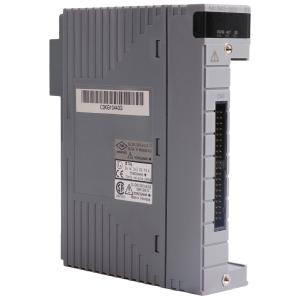 Module de sortie analogique d'AAI543-H53 S1 YOKOGAWA