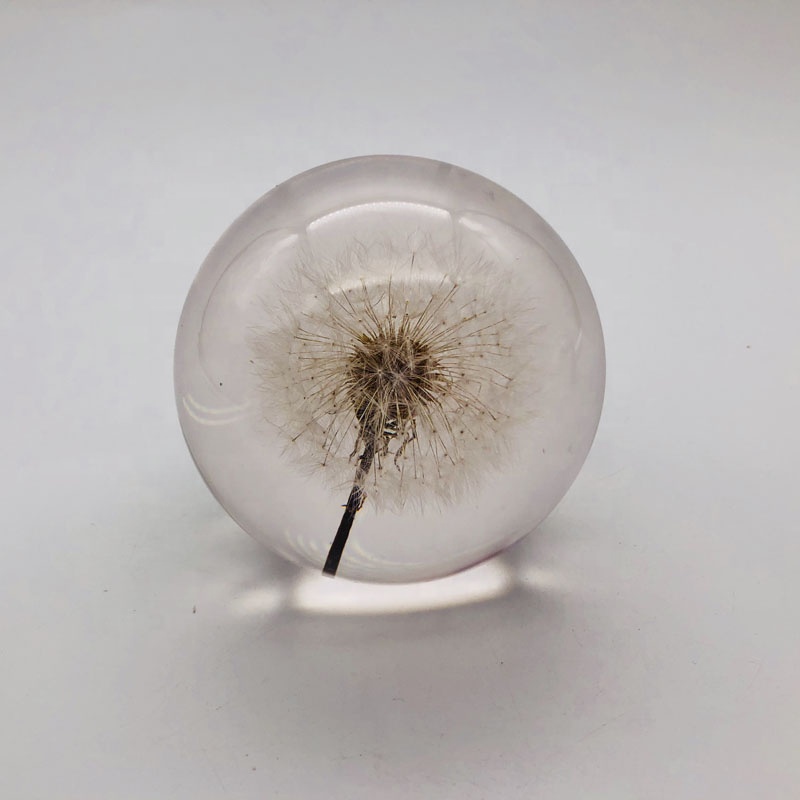 Домашний вес бумаги одуванчика украшения, акриловое пресс-папье смолы цветка
