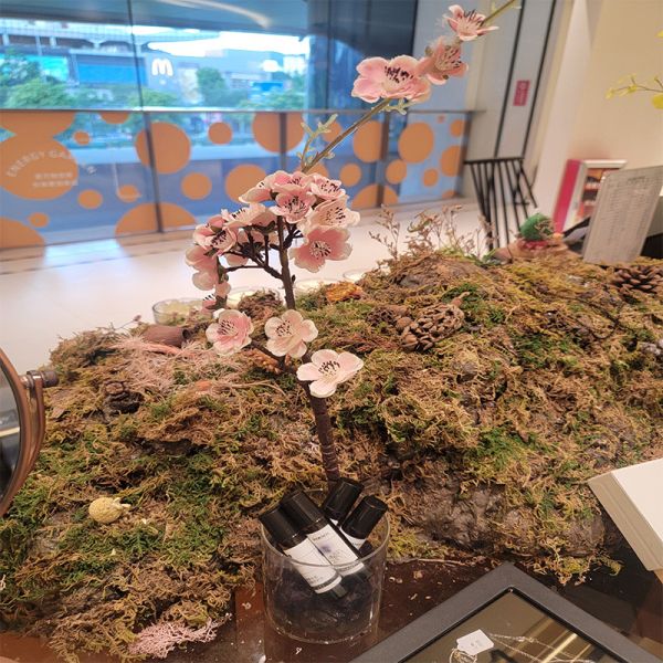 Cotton Fragrance Essence Scented Candle Fragrances Free Samples