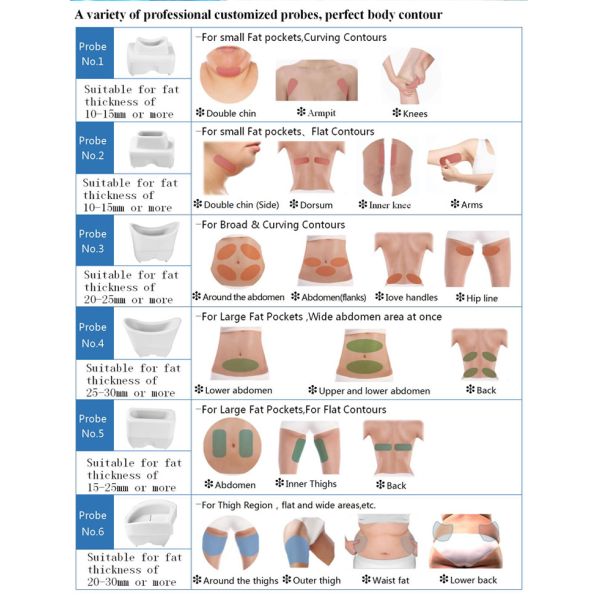 CE FDA Portable Cryolipolysis 110V/220V Body Slimming Fat Freezing Machine