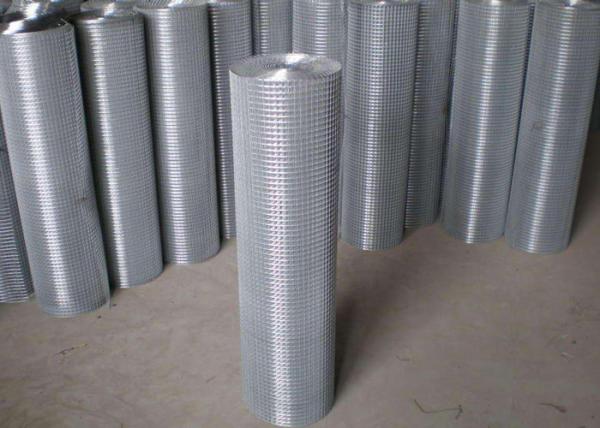 Thin Welded Wire Cloth Roll Type , Galvanized Stainless Steel Weld Mesh