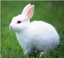 Напечатанные таможней жестяные коробки Пормотионал для подарка знаменитости упаковывая УЛЬТРАФИОЛЕТОВОЕ покрытие