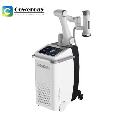 360 Cryolipolysis Slimming Machine Cryo+EMS Stimulation Machine For  Fat Reduction