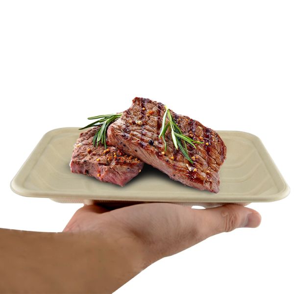 Sugarcane Bagasse Compostable Paper Food Tray 8*6inch  eco-friendly 100% biodegradable