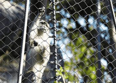 Ferruled Black Oxide Cable Mesh 7X7 Stainless Steel Monkey Flexible Metal Netting