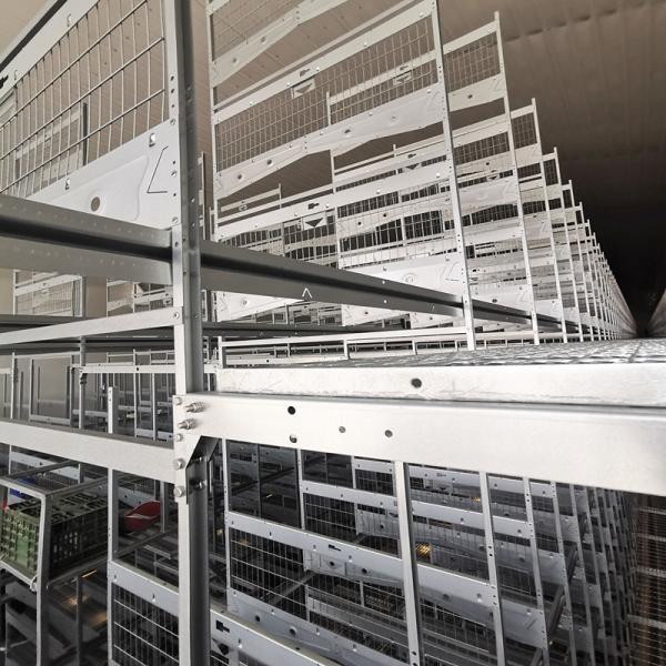Galvanized 3-10Tiers H Type Layer Cage , 384 Chicken Egg Laying Cages