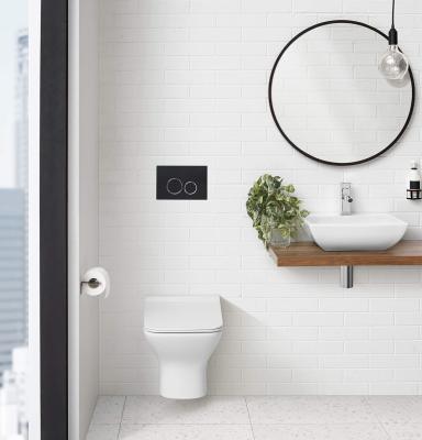 TUSSON HDPE Cold Water Concealed Cistern With Dual Flush Flush Button