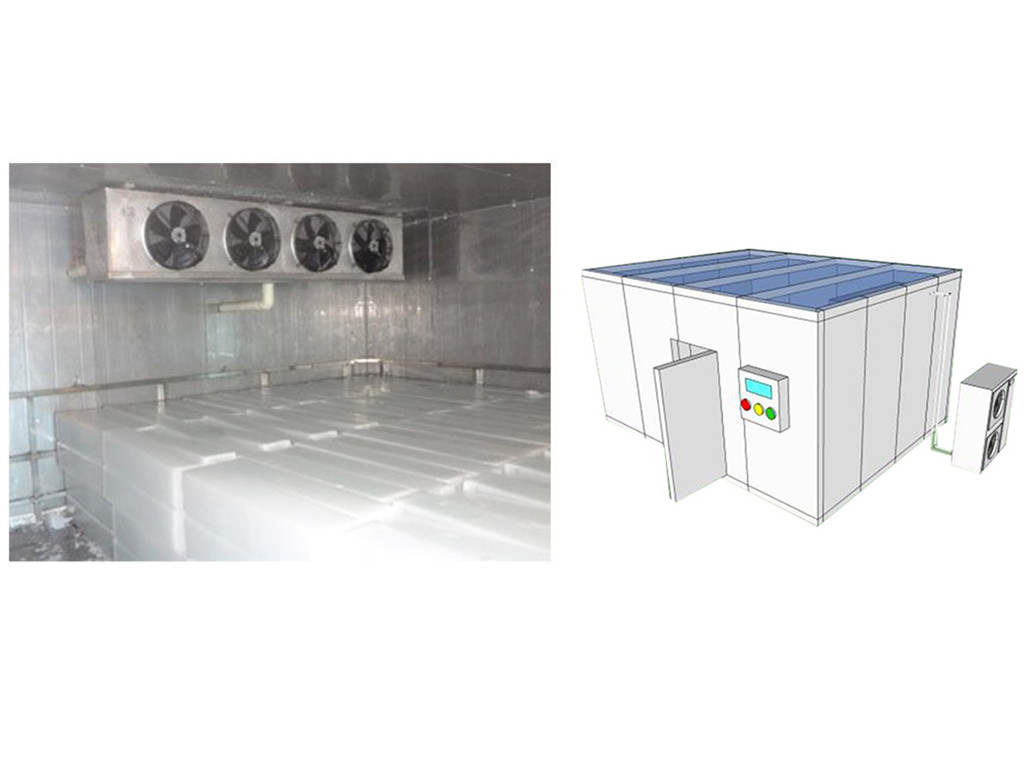 Комната сумки льда холодная Refrigerated прогулка хранения льда в замораживателе