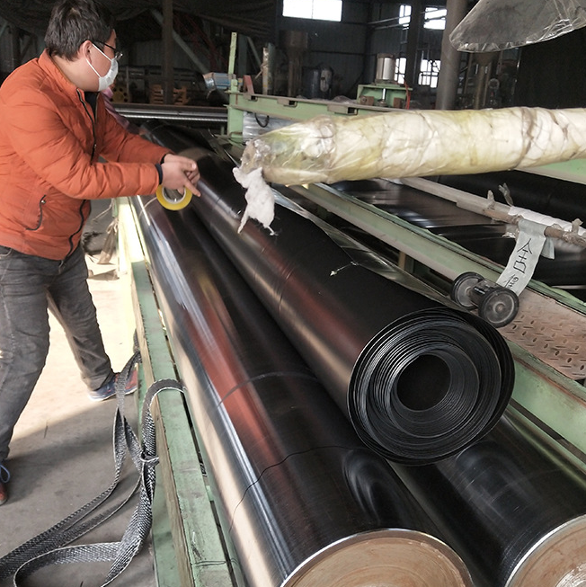 Южная Африка Дам Лайнер Промышленный дизайн стиль HDPE геомембраны по доступным ценам