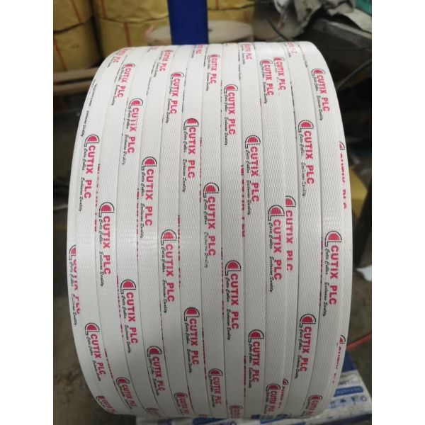 PP Strap Making Machine with Video Outgoing-Inspection Recycle/New Raw Material 0.4-1.2mm Thickness