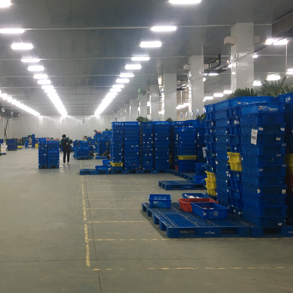 505*370*210 мм пластиковая коробка для хранения овощей и фруктов