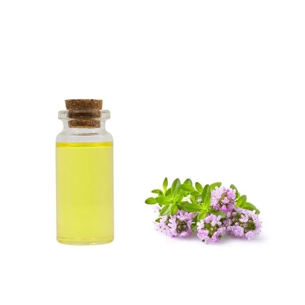 Antioxidant 100 Pure Organic Essential Oils Organic Thyme Essential Oil Cas 8007-46-3