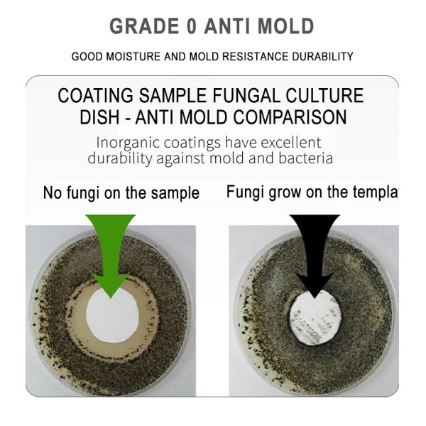 Fireproof Mold Proof Durable Water Based Paint for Interior Walls - Inorganic Coating