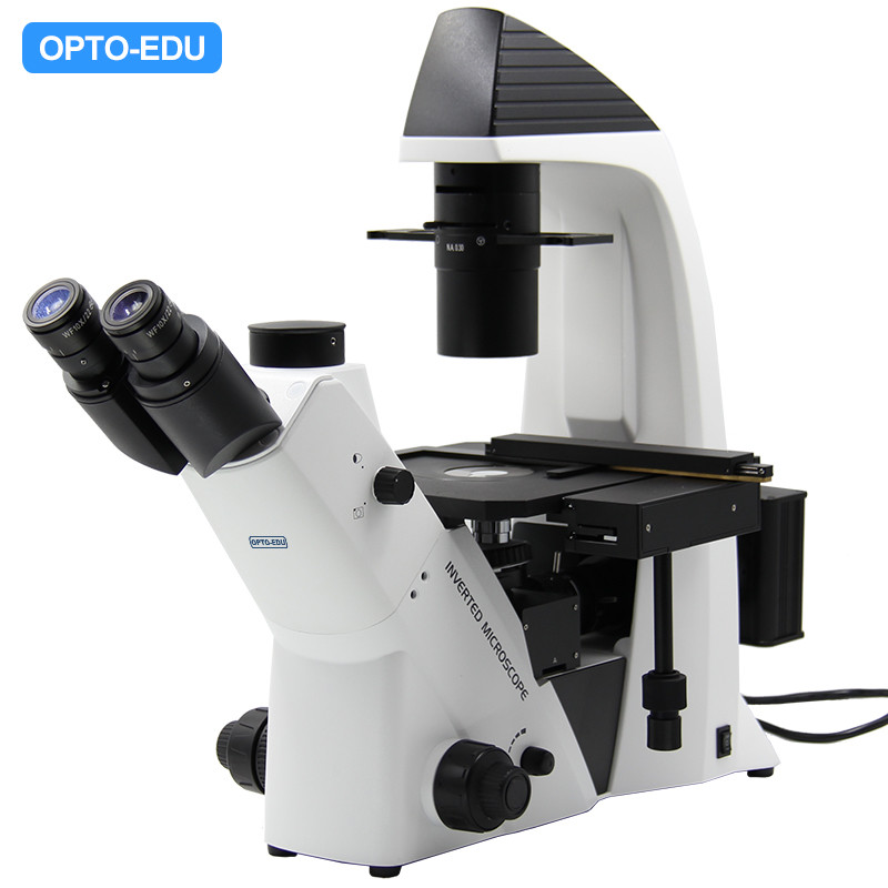 Opto-Edu A14.2603 Инвертированный оптический микроскоп Тринокулярный фазово-контрастный