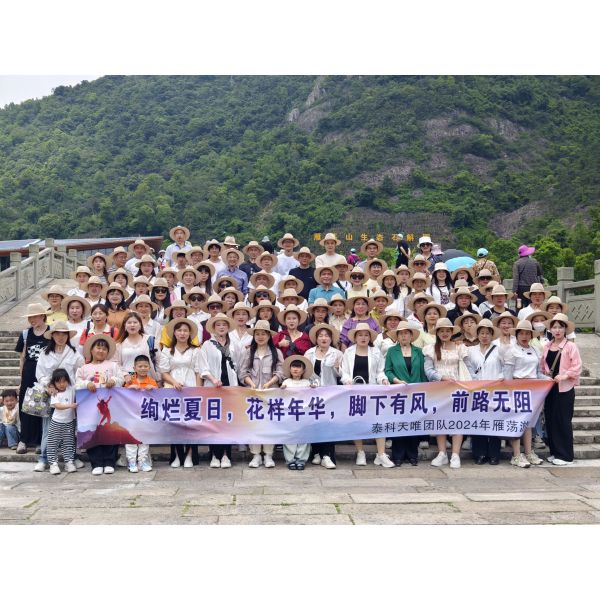 BR-40 3+1 440 Type 2 Surge Protector din rail surge protection lightning arrester 40kA spd