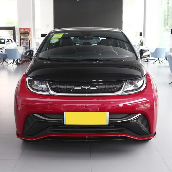 AWD BYD Dolphins EV All Electric Vehicle PHEV Custom