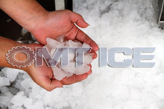 Electric Stainless Steel Ice Crushing Machine for Round Ice Block 10-100ton/24hrs Performance