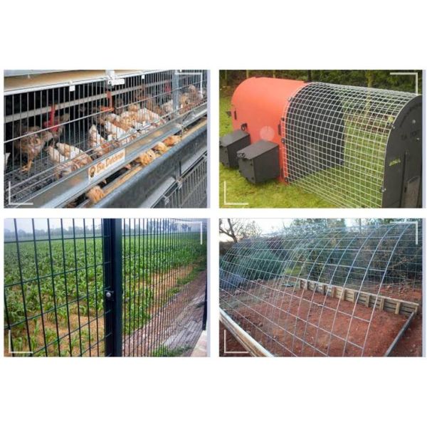 304/316/316L Stainless Welded Wire Mesh with Factory Price High Quality Welded Steel Mesh for Sale