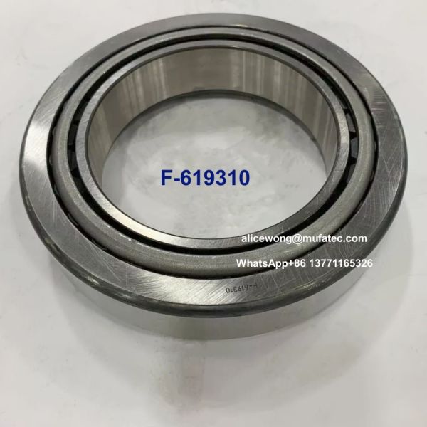 F-619310 Automotive Spare Part Bearings Tapered Roller Differential Bearings