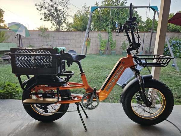 Family 48V 250W Lithium Battery Disc Brake Aluminum Alloy Frame Electric Cargo Bike Front Box Long Tail Brushless Motor 7-Speed