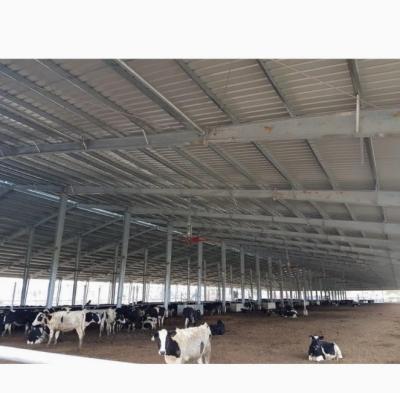 Steel Structure Prefab Poultry House Wind Resistant Pre Engineered Steel Cowshed