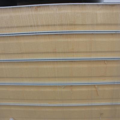 PPGI Layout Insulated Cold Store Panels Prefabricated For Different Temperatures
