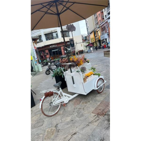 120KG Tricycle Food Cart for Fruit Vending Inside Equipments As Your Requirement