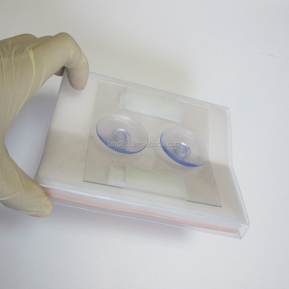 Medical Training Tool Simulated Skin Suture Module for Surgical Muscle Incisions