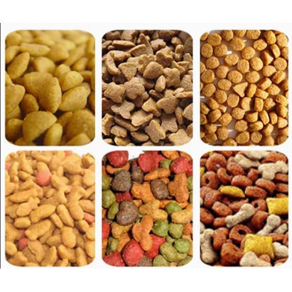 DGP 65 Máquina automática de extrusión de alimentos para perros de acero inoxidable / Línea de procesamiento de alimentos secos para mascotas