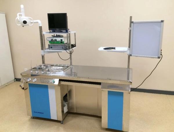 CE Certified Luxury Extended Ent Workstation Hospital Medical Equipment