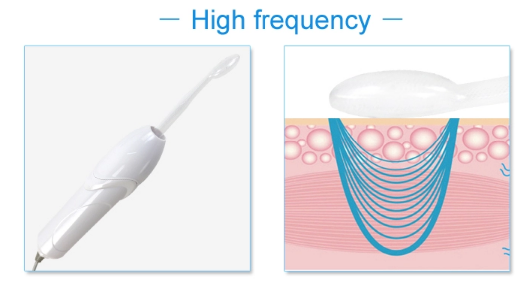 9 в 1 многофункциональной машине 900W красоты Microcurrent лицевой