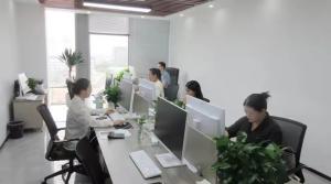 Shanghai Apying Technology Co., Ltd.