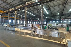 Linha de processamento de celulose de manga de 1 a 3 toneladas/h Máquinas de