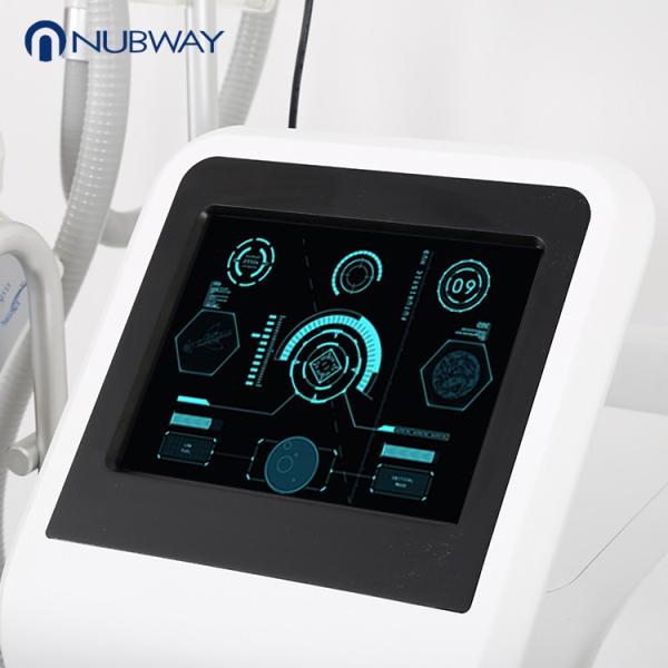 New product 4 cryo handles fat freezing slimming equipment weight loss cryolipolysis slimming machine