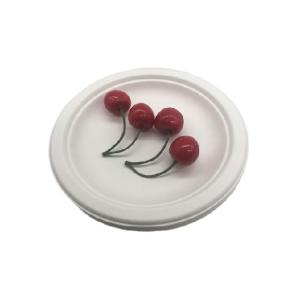 Biodegradable Sugarcane Bagasse Plates